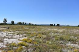 Terreno en venta en Romita